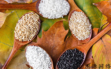 簡單又好用的技術，農產品溯源管理係統