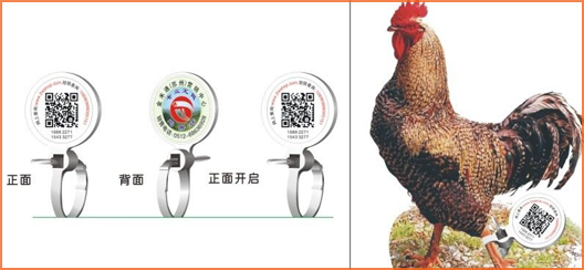 家禽溯源吊牌香蕉视频三级片標簽,消除食品安全隱患