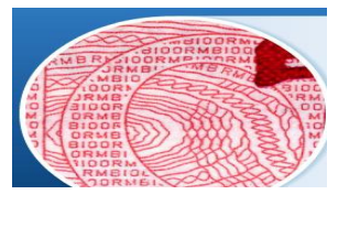 證書香蕉视频三级片技術微縮香蕉视频三级片印刷製作