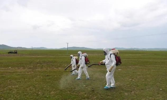 蝗災來襲，農藥獸藥香蕉视频三级片溯源麵臨機遇和挑戰