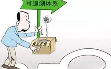 怎樣實現蔬菜的來龍去脈，追根溯源