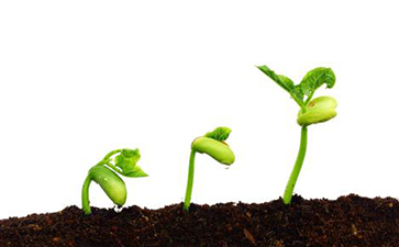 種子追溯係統如何實現？