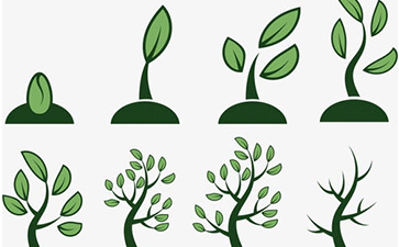 種子香蕉视频好色先生如何實現？